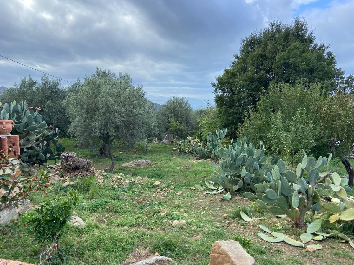 Villa Al Presti, Vacanze In Pieno Relax Cefalu Ngoại thất bức ảnh