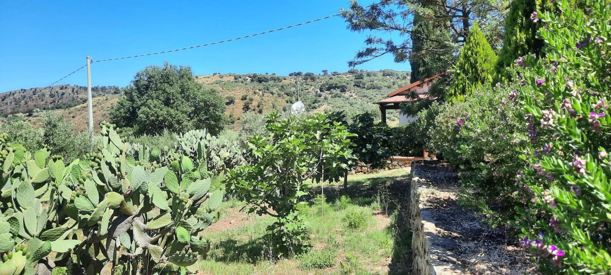 Villa Al Presti, Vacanze In Pieno Relax Cefalu Ngoại thất bức ảnh