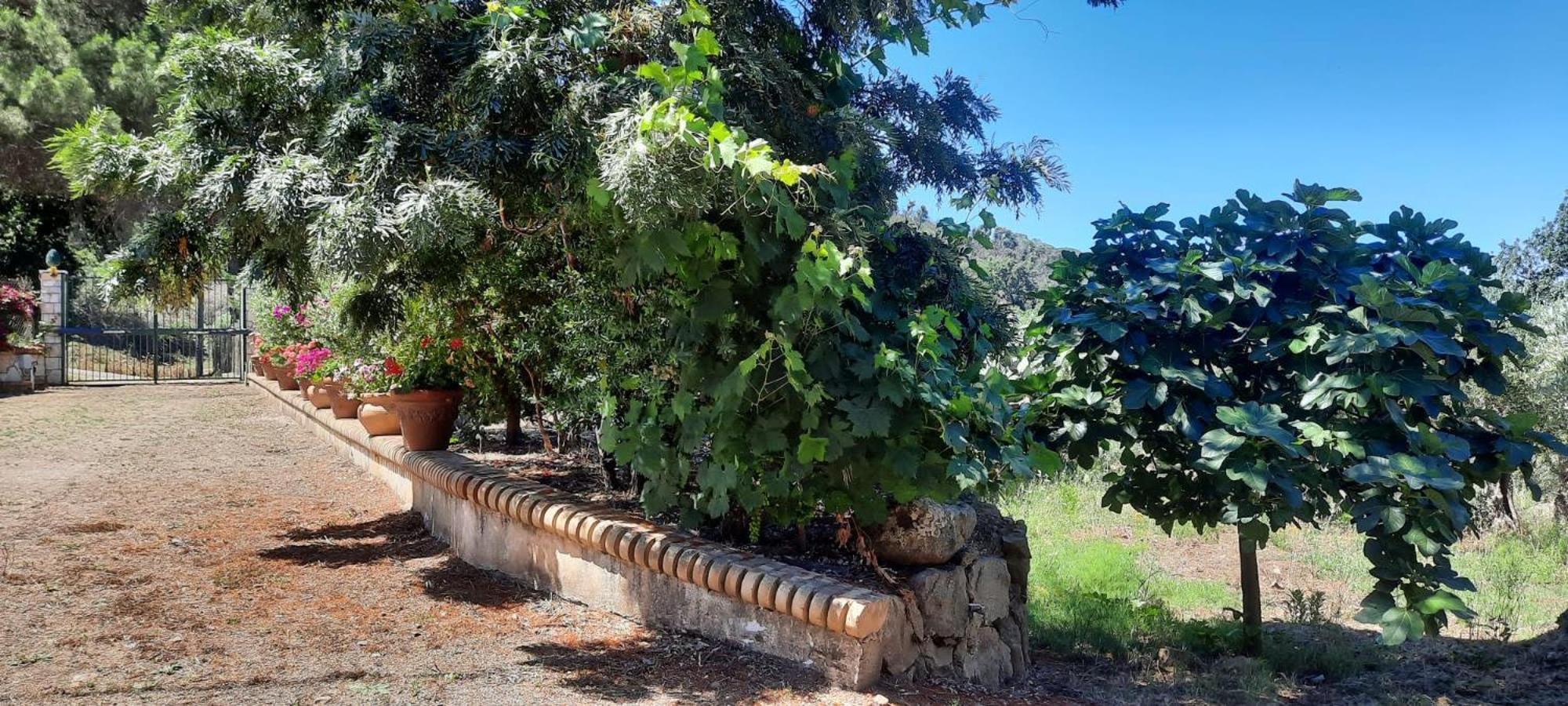 Villa Al Presti, Vacanze In Pieno Relax Cefalu Ngoại thất bức ảnh